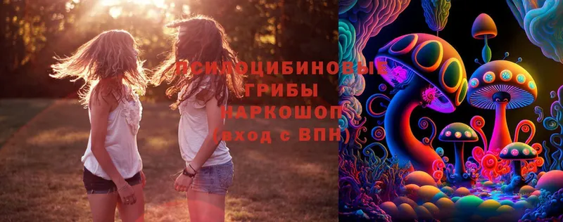 ссылка на мегу рабочий сайт  Белёв  Галлюциногенные грибы MAGIC MUSHROOMS  как найти наркотики 